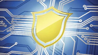 2019年蒼南縣網絡安全宣傳周啟動 聚焦網絡安全軟件開發，活動精彩不容錯過